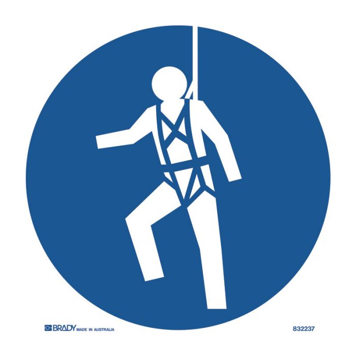 SAFETY HARNESS MANDATORY PICTOGRAMS 200Dia